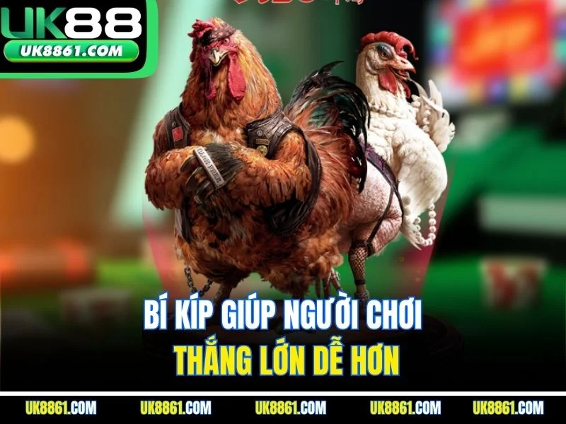 Bí kíp giúp người chơi thắng lớn dễ hơn