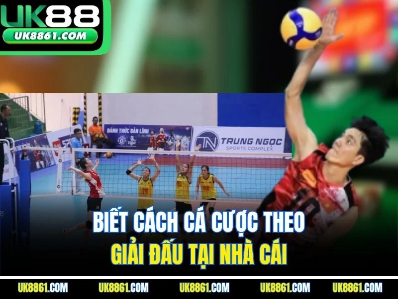 Biết cách cá cược theo giải đấu tại nhà cái