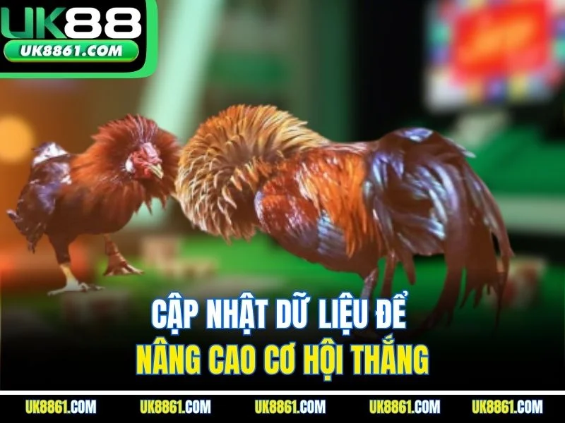 Cập nhật dữ liệu để nâng cao cơ hội thắng