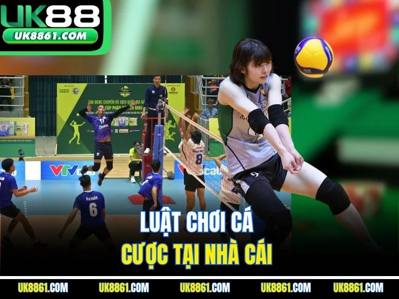 Luật chơi cá cược tại nhà cái