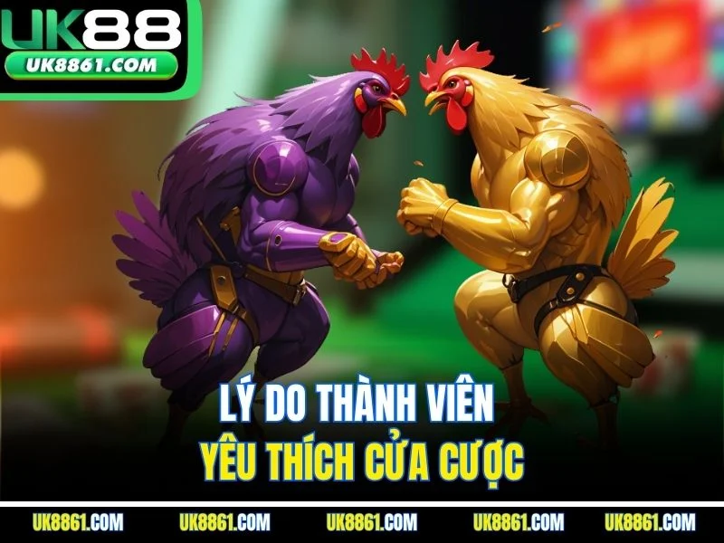 Lý do thành viên yêu thích cửa cược