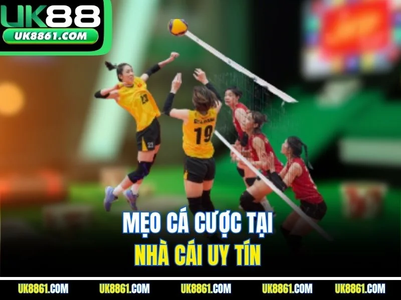 Mẹo cá cược tại nhà cái uy tín