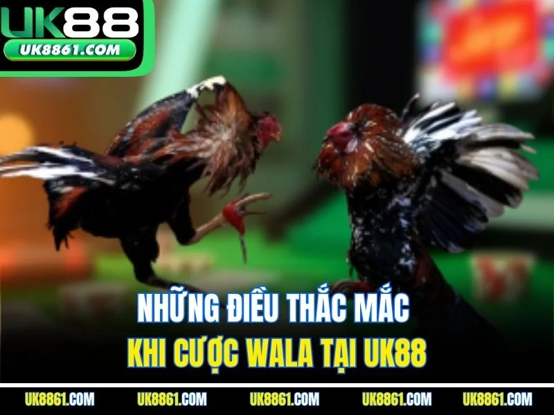 Những điều thắc mắc khi cược Wala tại UK88