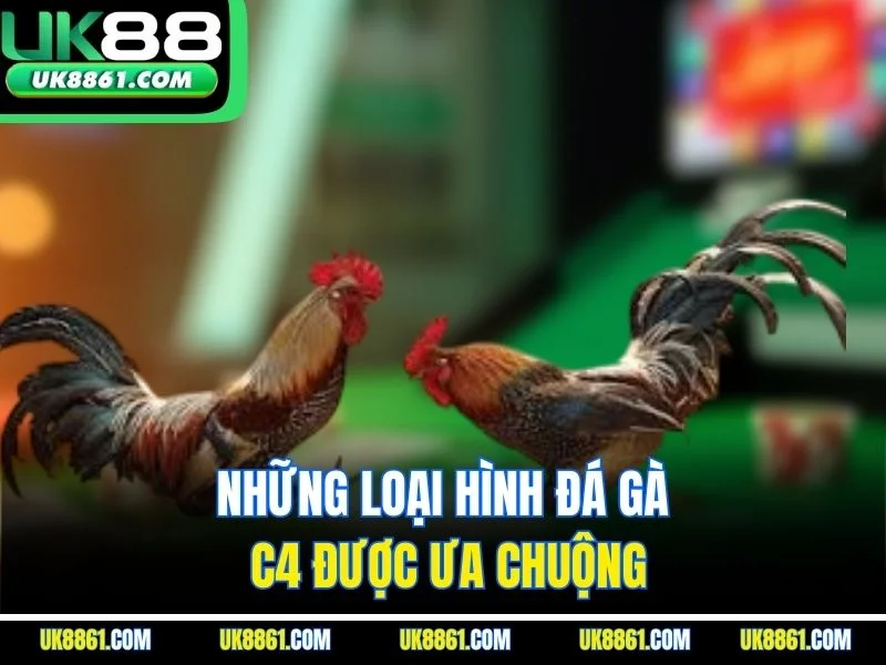 Những loại hình đá gà C4 được ưa chuộng